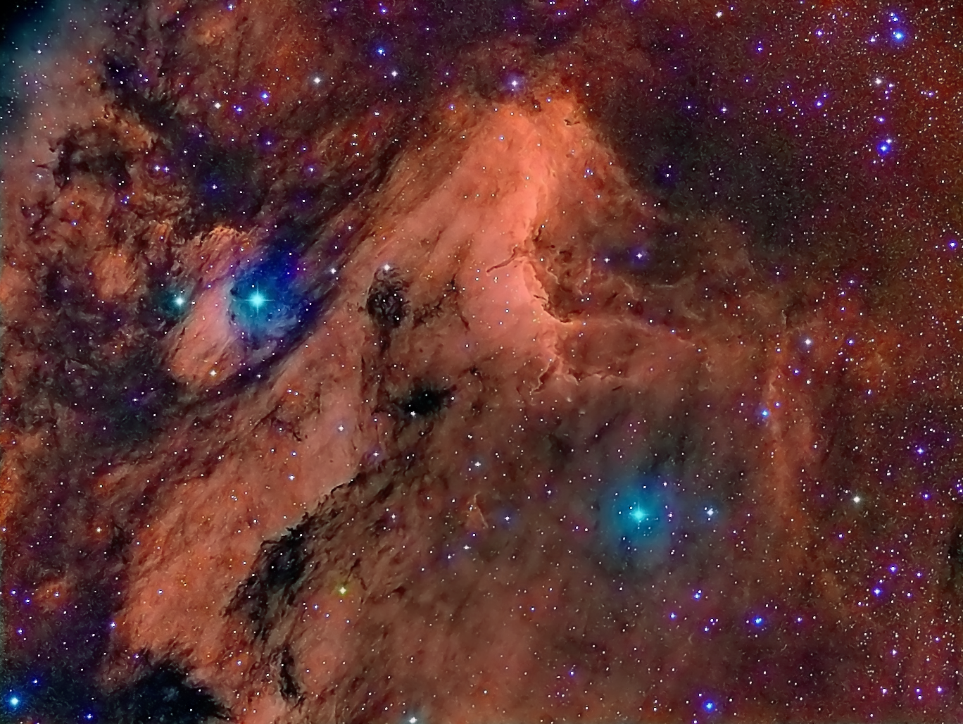 El Simposio de Naturaleza de Vila-real sumará este año una ponencia sobre Astronomía y astrofotografía