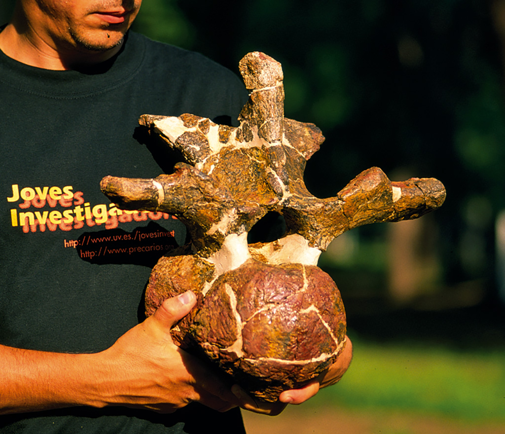 Vertebra IGUA