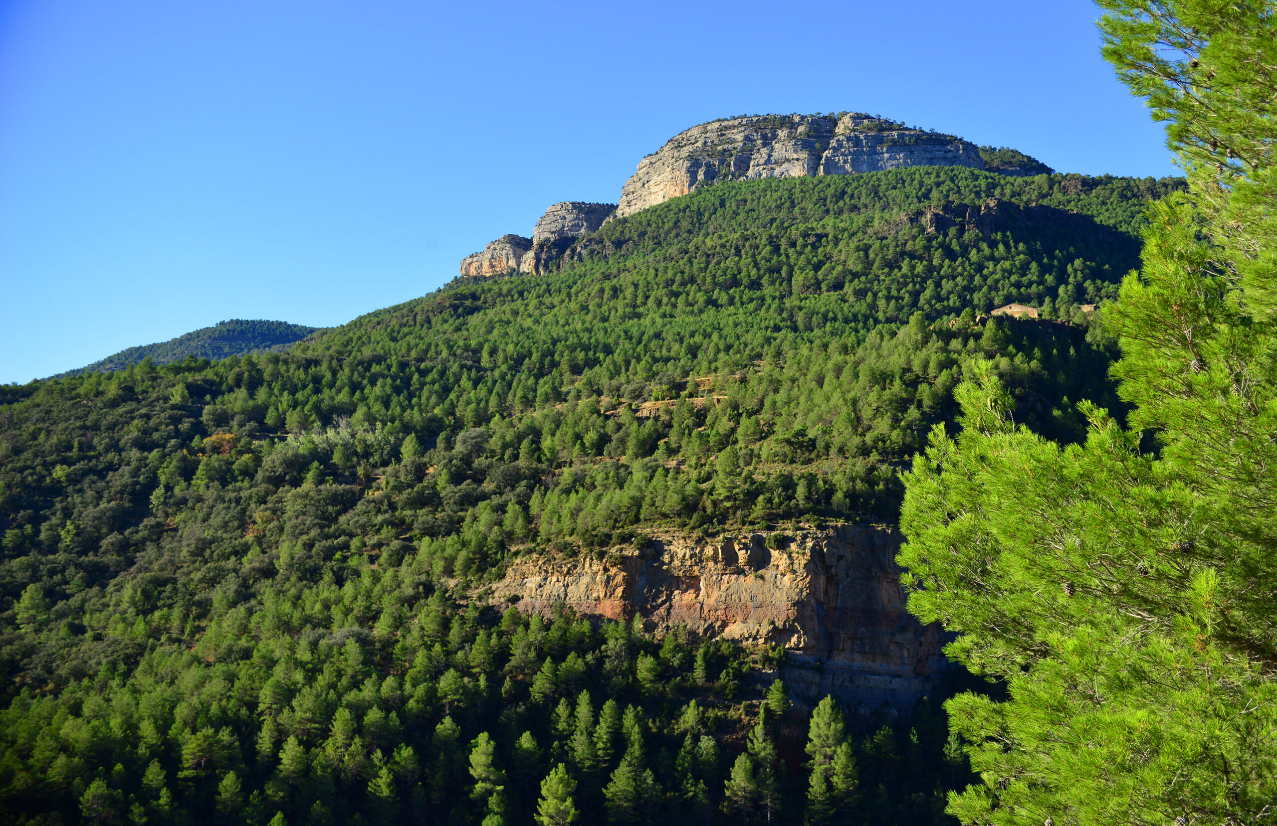 Antartida2015